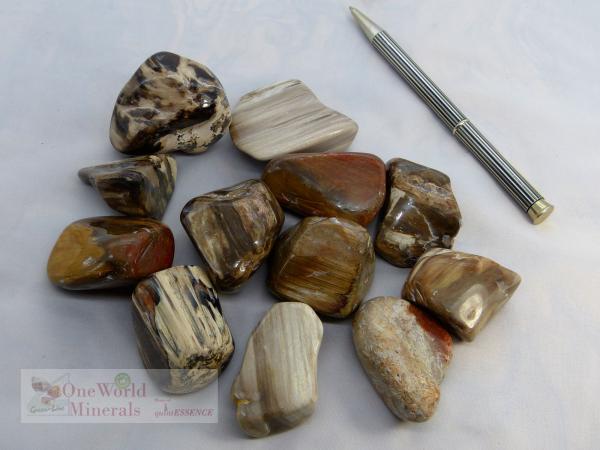 versteinertes Holz Trommelstein